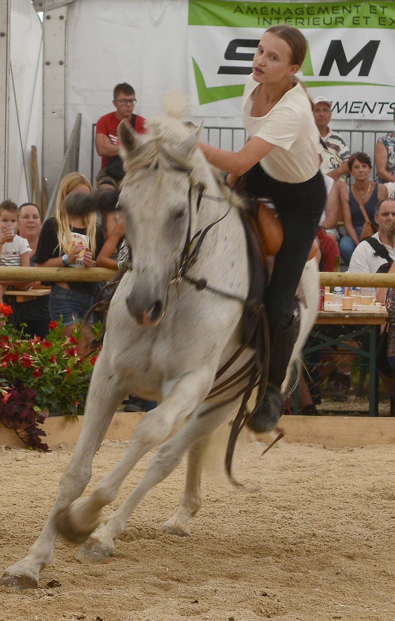 festi-cheval, houtaud, pontarlier, doubs