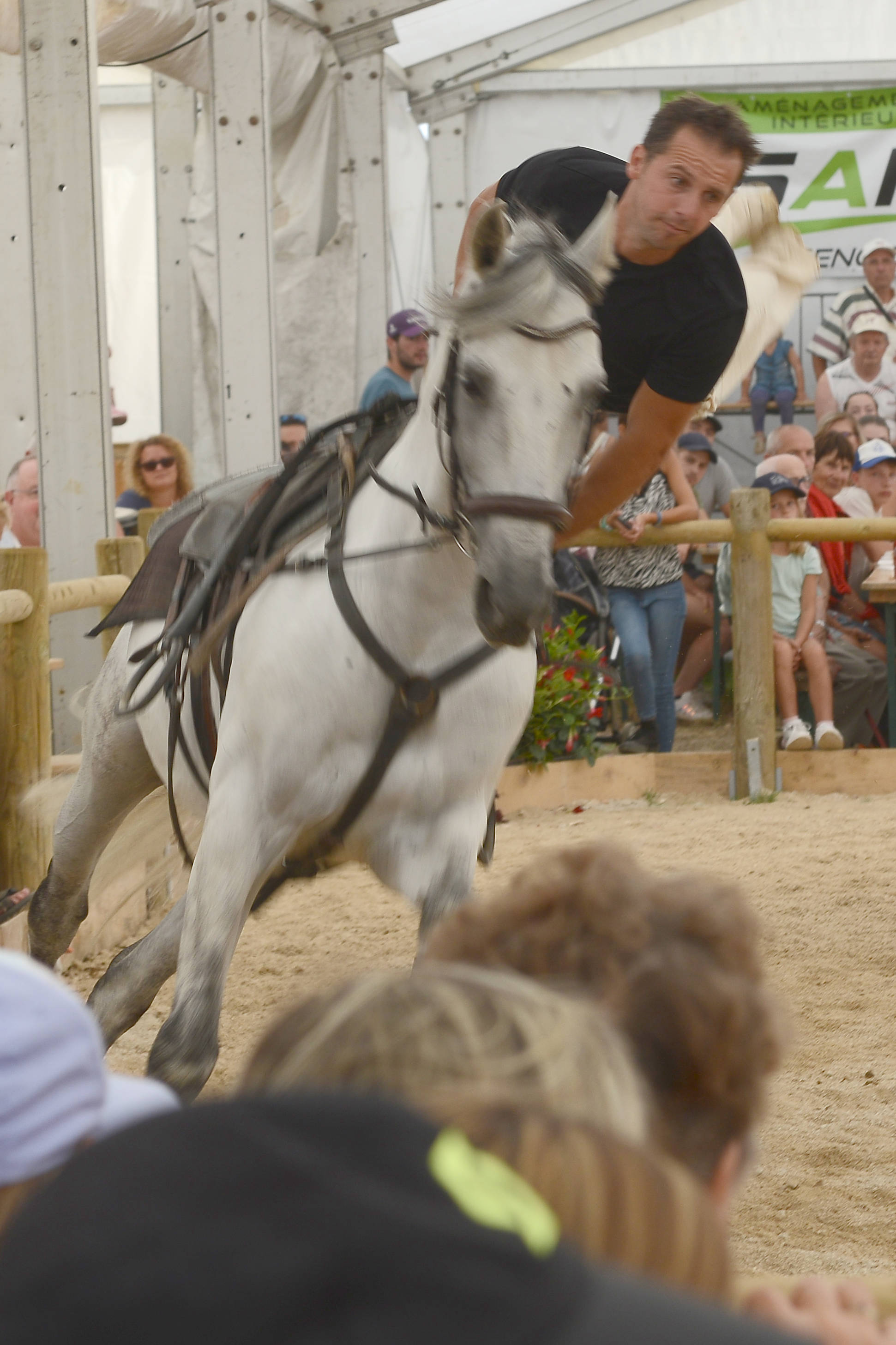 festi-cheval, houtaud, pontarlier, doubs