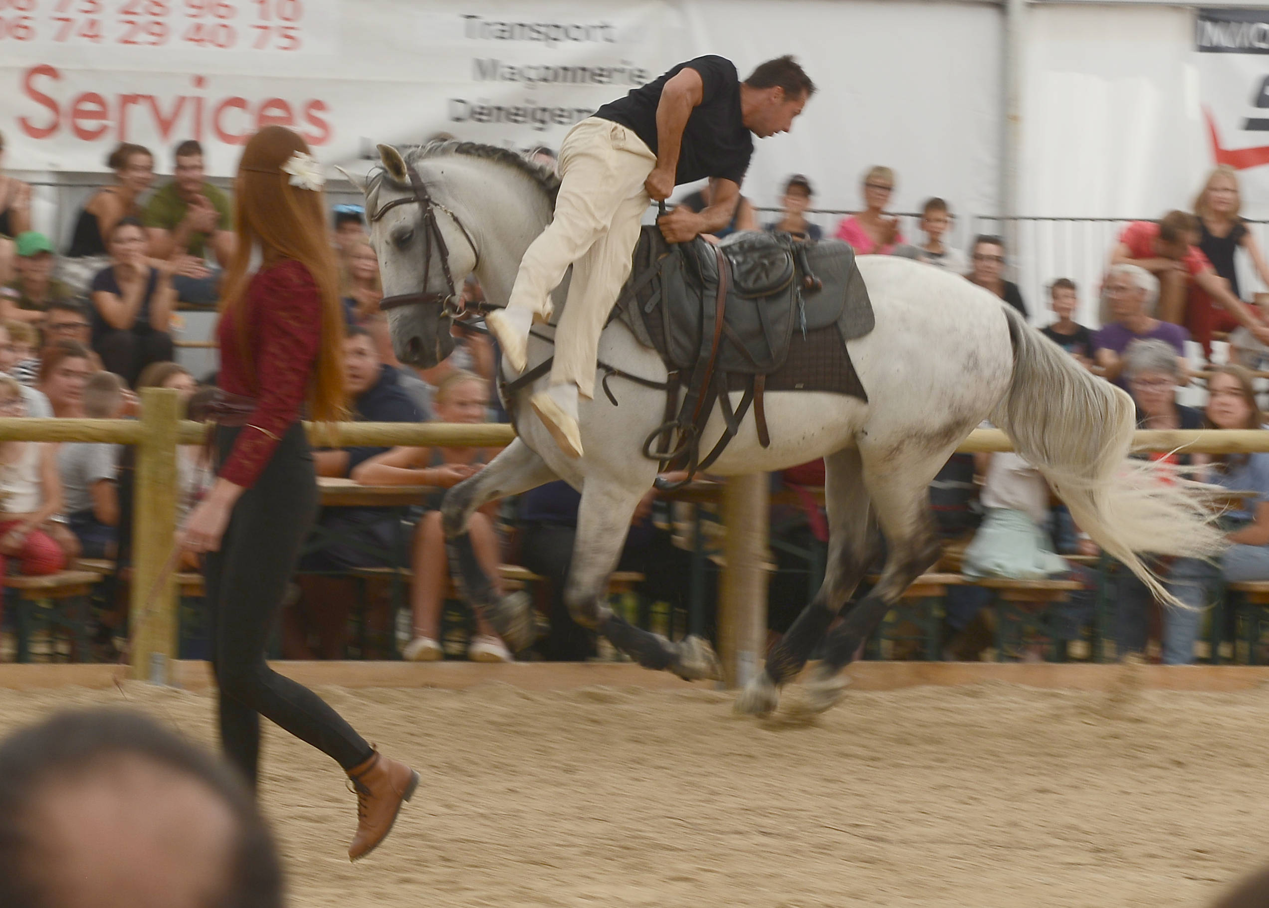 festi-cheval, houtaud, pontarlier, doubs