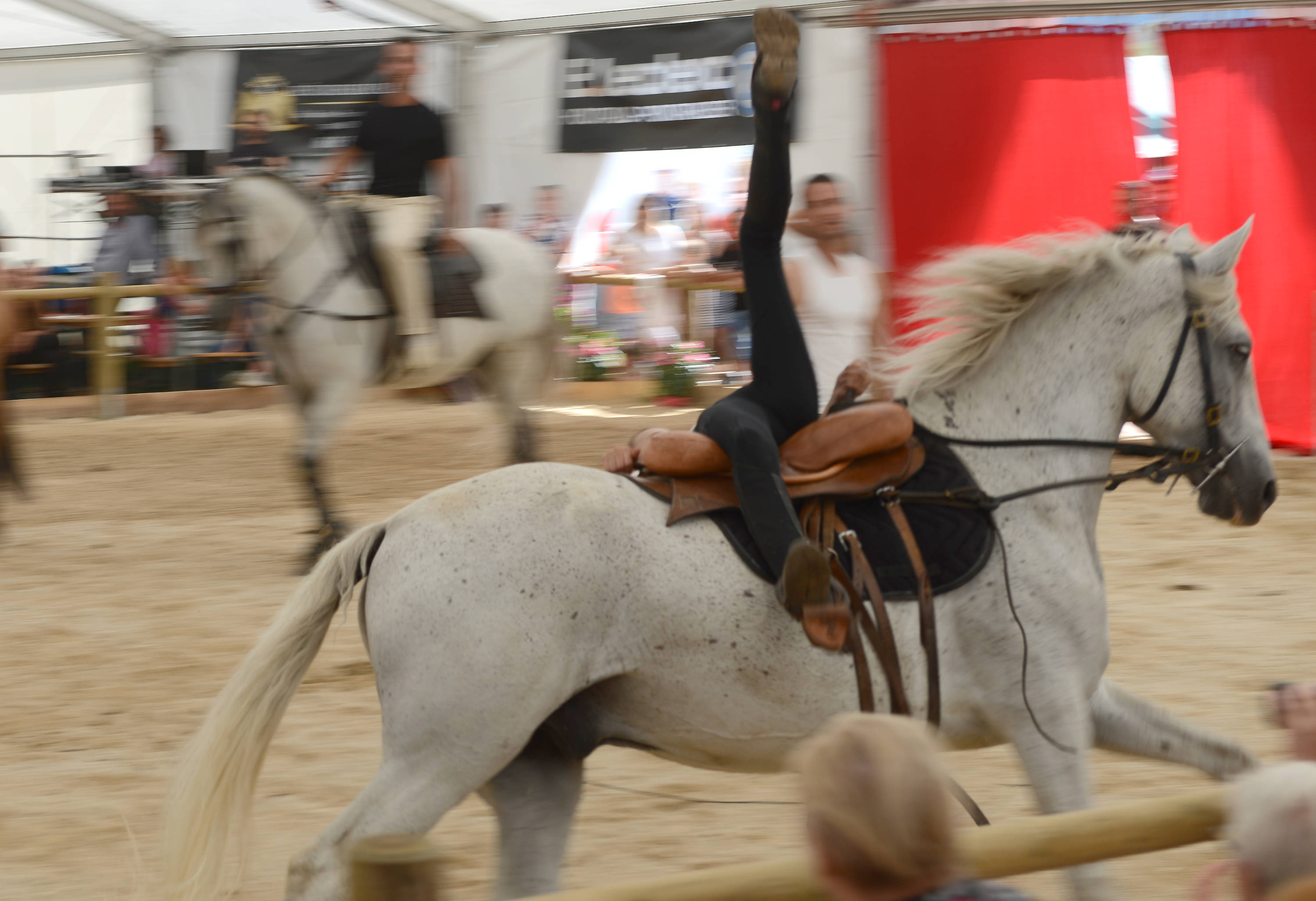 festi-cheval, houtaud, pontarlier, doubs