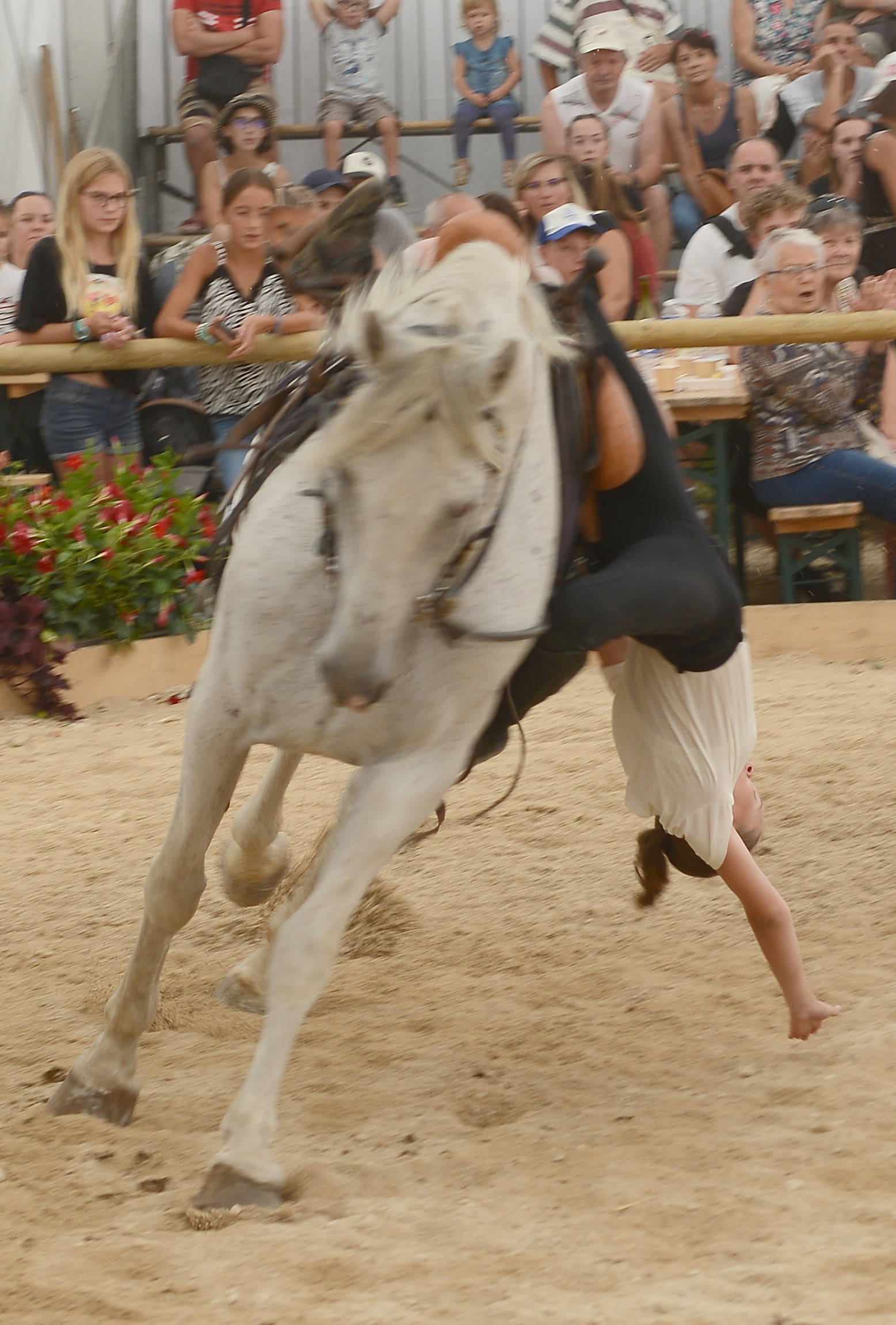 festi-cheval, houtaud, pontarlier, doubs