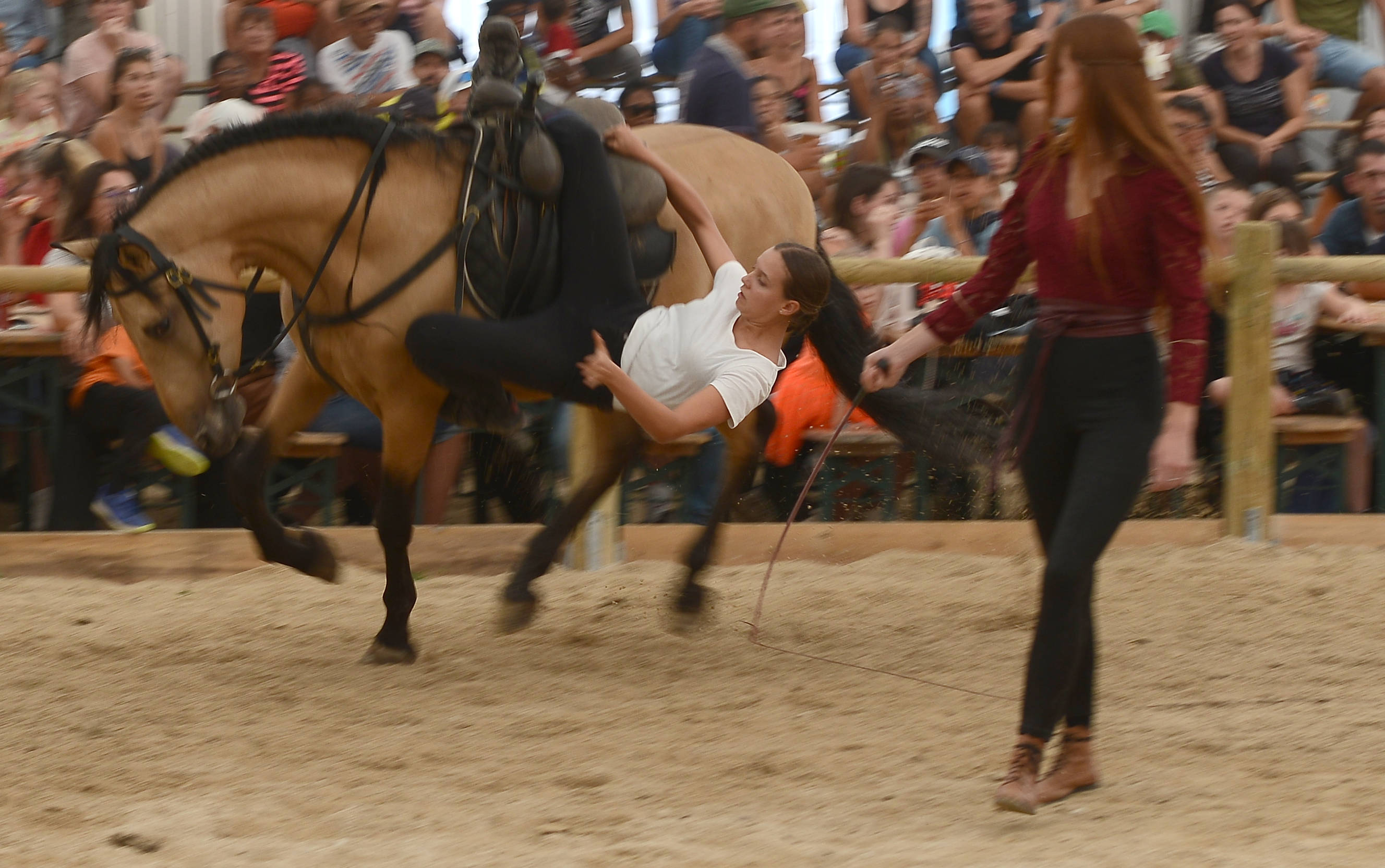 festi-cheval, houtaud, pontarlier, doubs