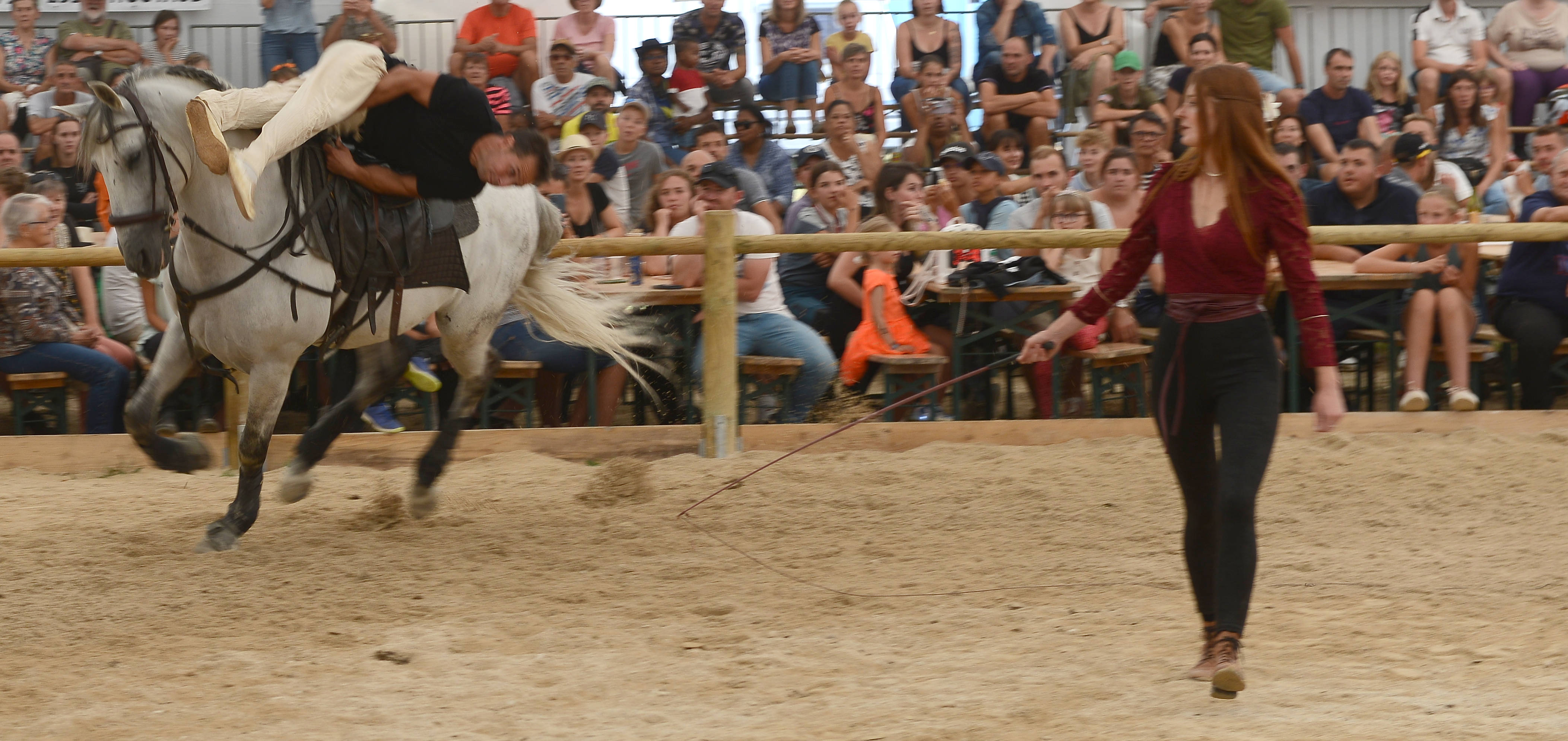 festi-cheval, houtaud, pontarlier, doubs