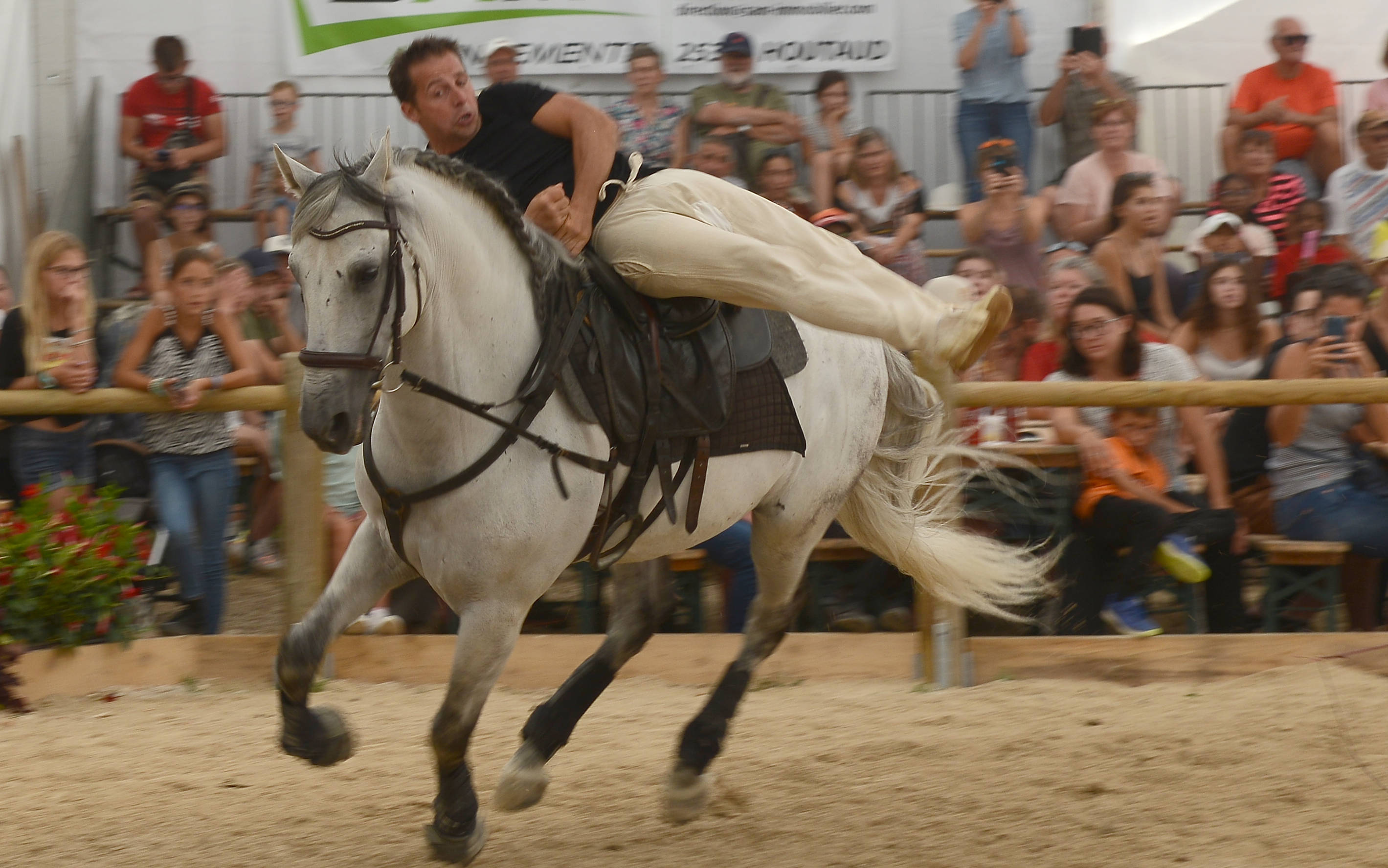 festi-cheval, houtaud, pontarlier, doubs