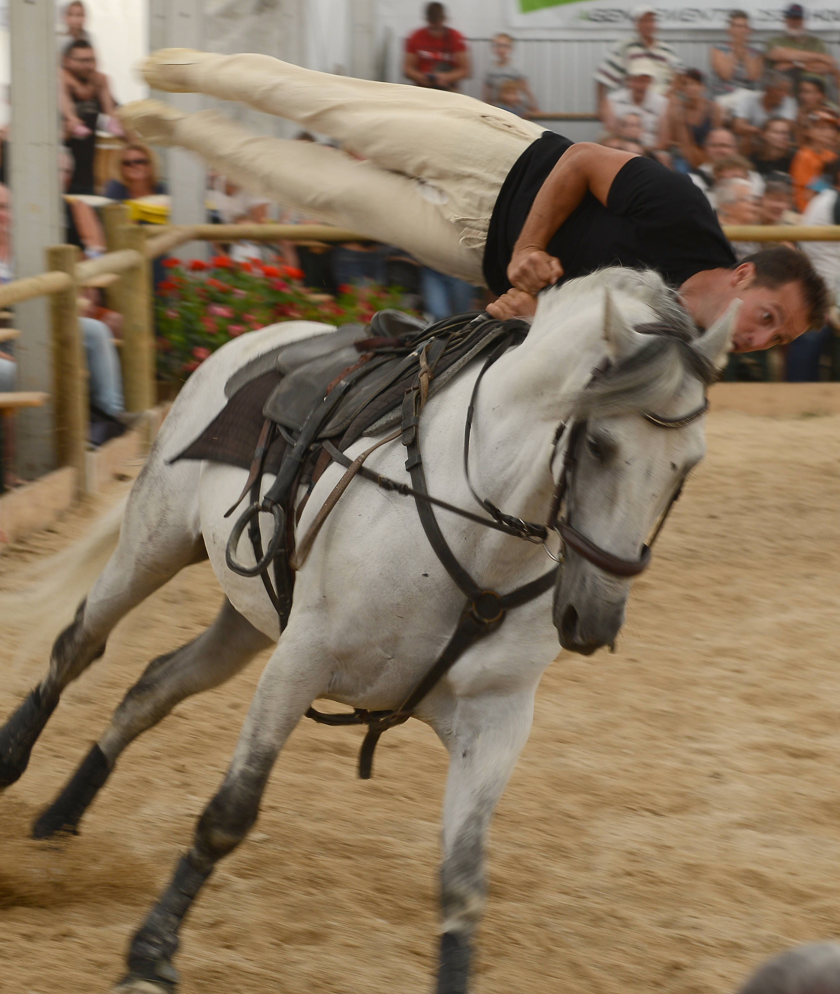 festi-cheval, houtaud, pontarlier, doubs