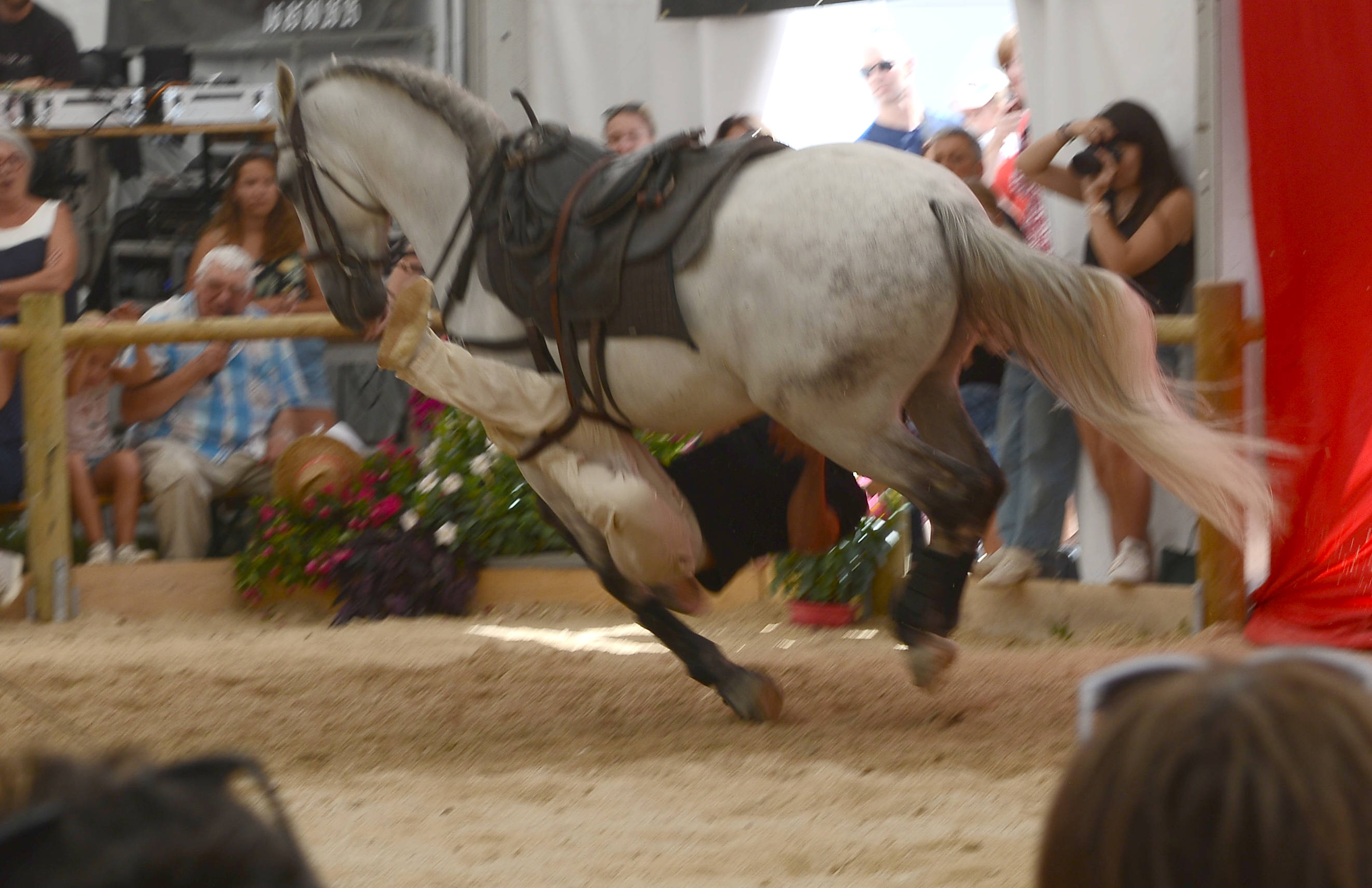 festi-cheval, houtaud, pontarlier, doubs