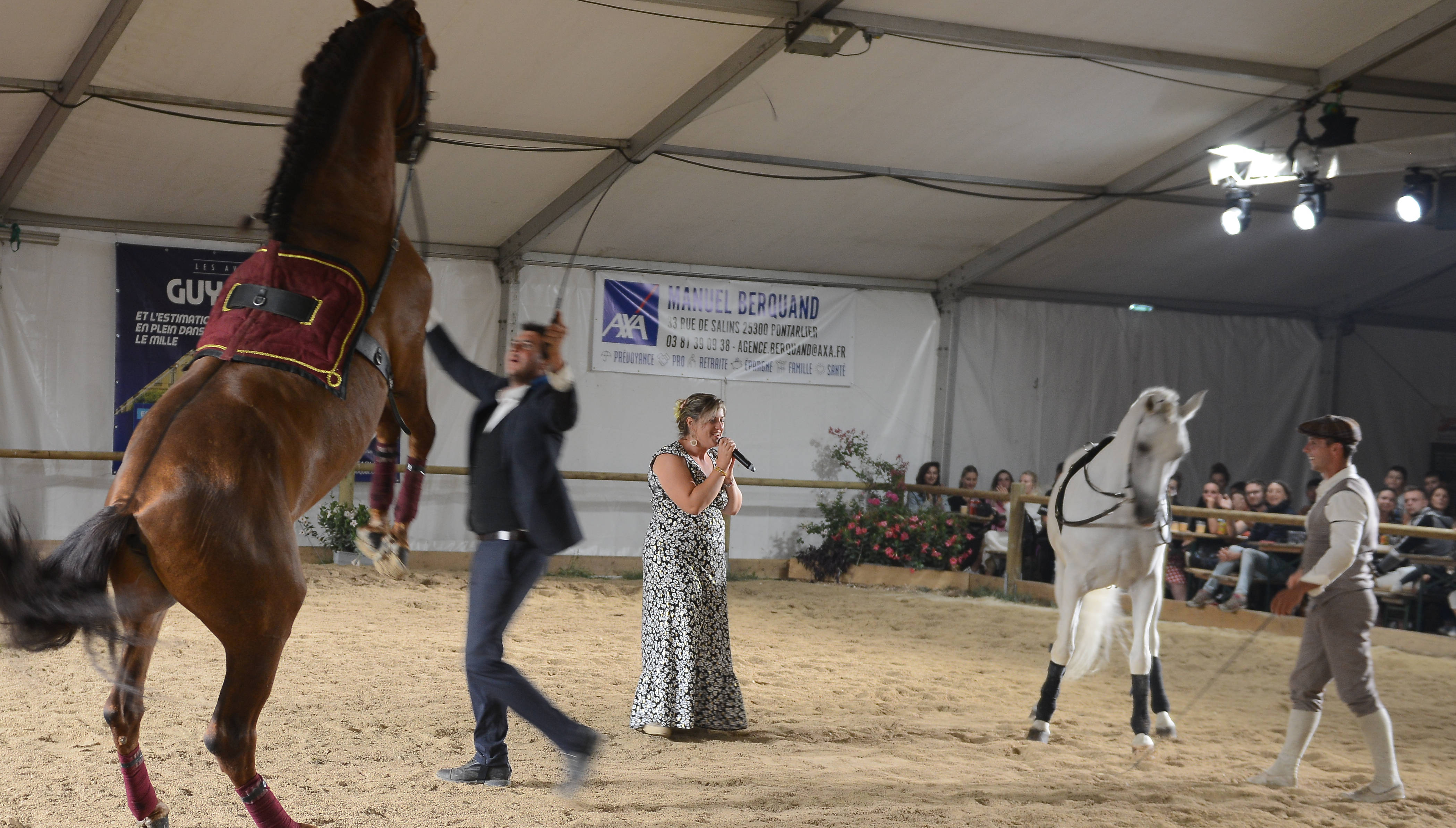 festi-cheval, houtaud, pontarlier, doubs, Camille Eimberk