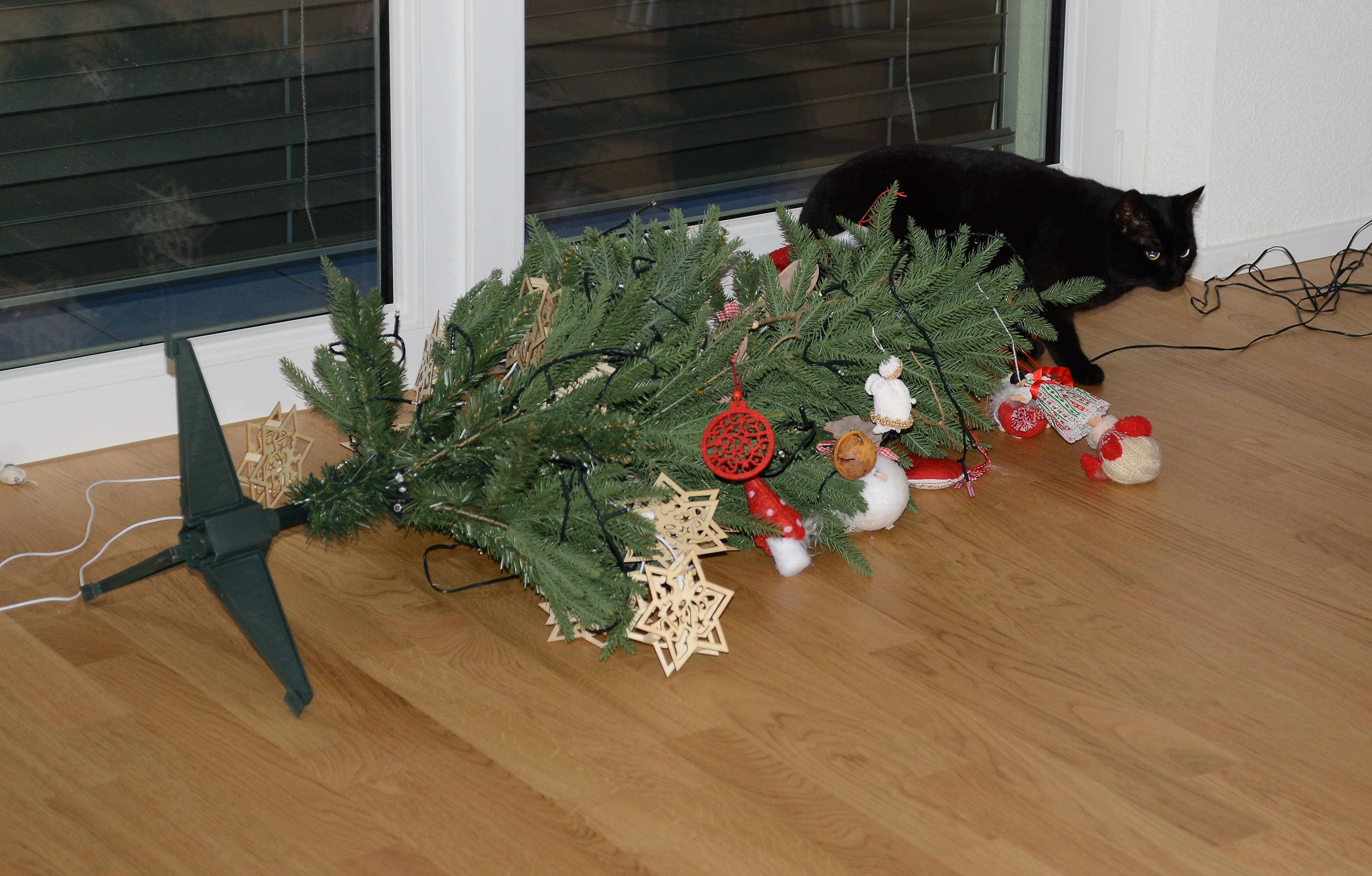 cat, christmas tree