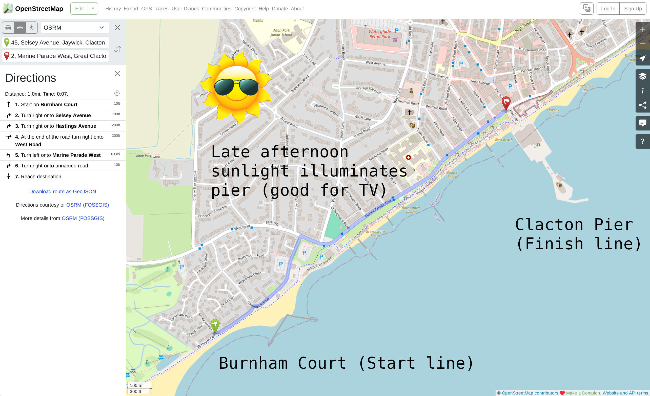 Burnham Court, Clacton Pier, mile, Nigel Farage, Count Binface, Daniel Pocock, Essex Lion