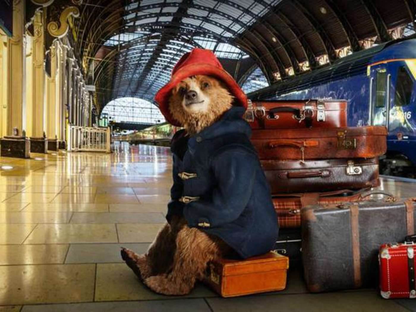 Paddington bear