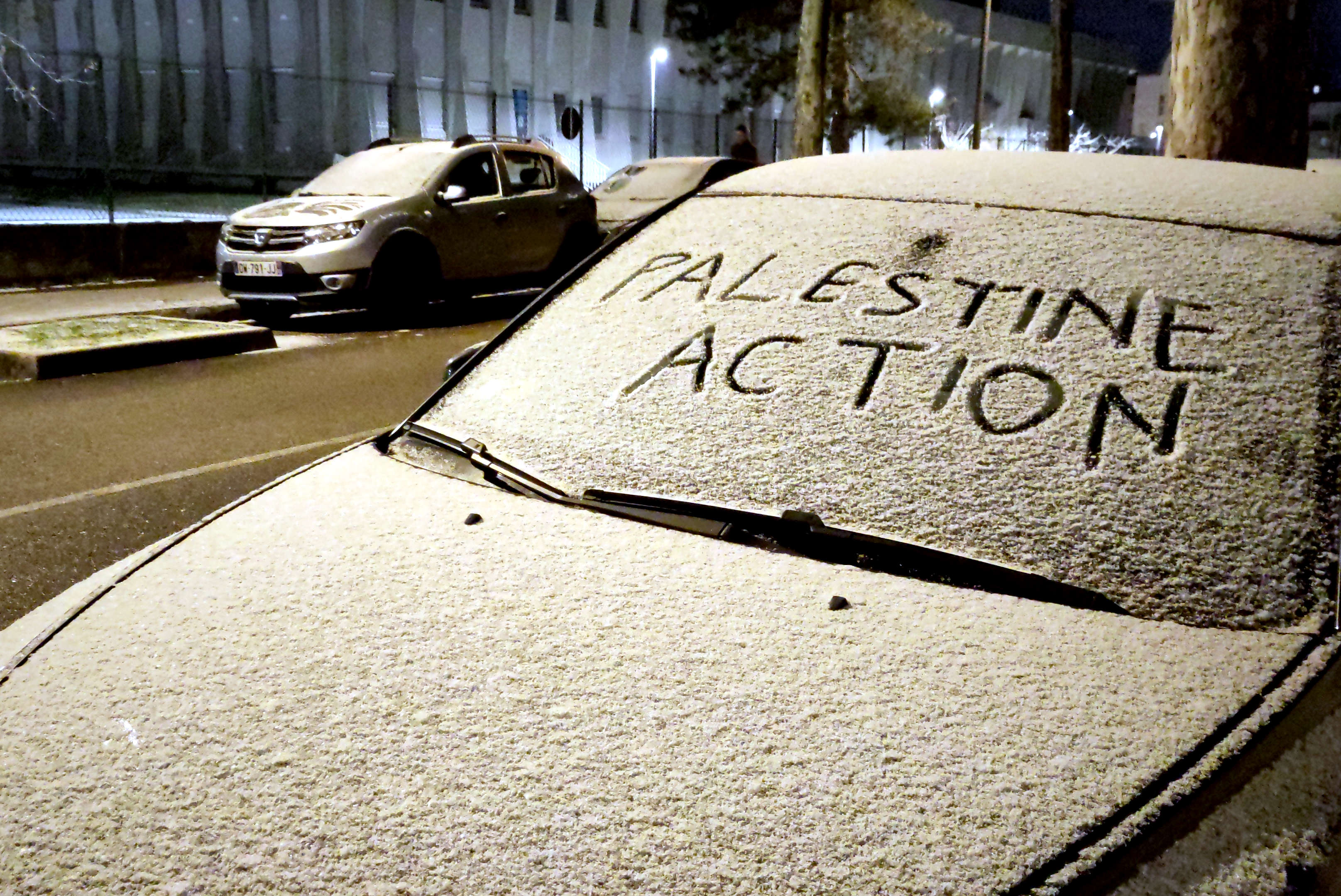 Palestine Action, snow